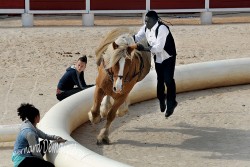 Spectacle-equestre-Palavas-31