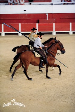 Spectacle-equestre-Palavas-39