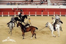 Spectacle-equestre-Palavas-52