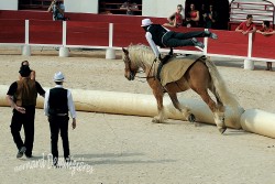 Spectacle-equestre-Palavas-20