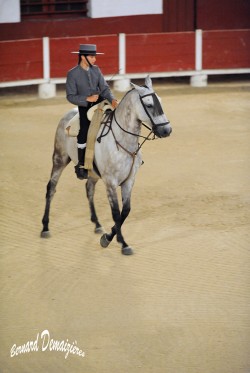 Spectacle-equestre-Palavas-21