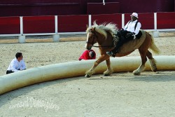 Spectacle-equestre-Palavas-22