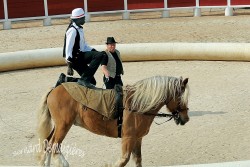 Spectacle-equestre-Palavas-24