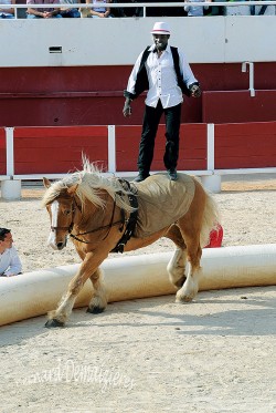 Spectacle-equestre-Palavas-25