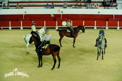 Spectacle-equestre-Palavas-26