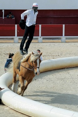 Spectacle-equestre-Palavas-26