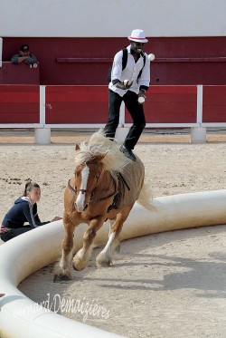 Spectacle-equestre-Palavas-28