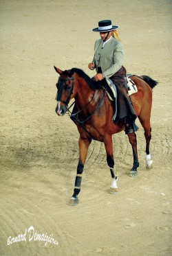 Spectacle-equestre-Palavas-29