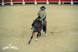 Spectacle-equestre-Palavas-32