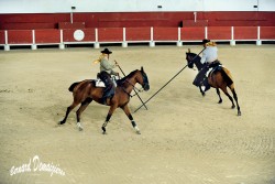 Spectacle-equestre-Palavas-40