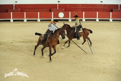 Spectacle-equestre-Palavas-41
