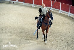 Spectacle-equestre-Palavas-44