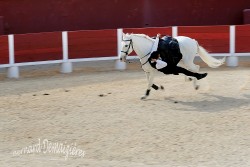 Spectacle-equestre-Palavas-45