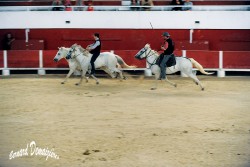 Spectacle-equestre-Palavas-46