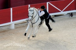 Spectacle-equestre-Palavas-46