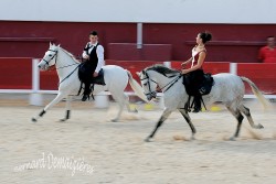 Spectacle-equestre-Palavas-49