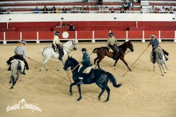 Spectacle-equestre-Palavas-51