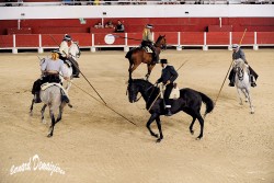 Spectacle-equestre-Palavas-53