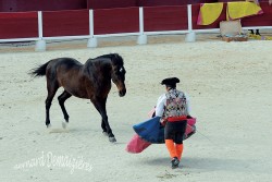 Spectacle-equestre-Palavas-53