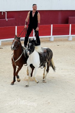 Spectacle-equestre-Palavas-60