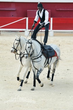 Spectacle-equestre-Palavas-62
