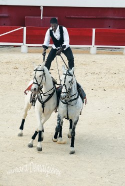 Spectacle-equestre-Palavas-63