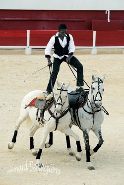 Spectacle-equestre-Palavas-64