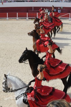 Spectacle-equestre-Palavas-6