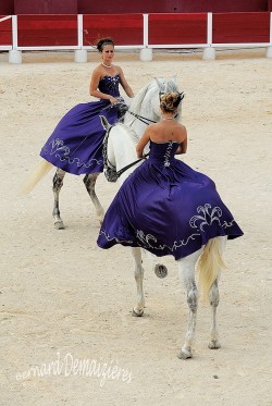 Spectacle-equestre-Palavas-71