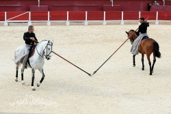 Spectacle-equestre-Palavas-75
