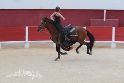 Spectacle-equestre-Palavas-81