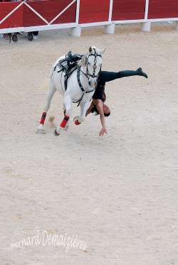 Spectacle-equestre-Palavas-84