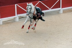 Spectacle-equestre-Palavas-85