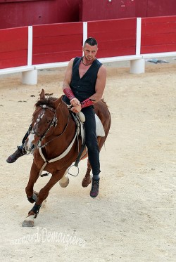 Spectacle-equestre-Palavas-90