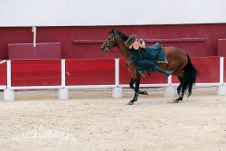 Spectacle-equestre-Palavas-91