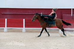 Spectacle-equestre-Palavas-92