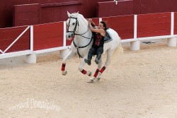 Spectacle-equestre-Palavas-95