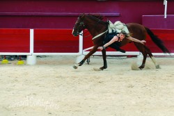 Spectacle-equestre-Palavas-96