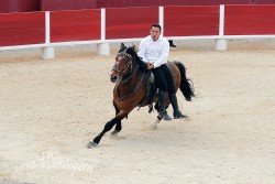 Spectacle-equestre-Palavas-98