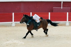 Spectacle-equestre-Palavas-99